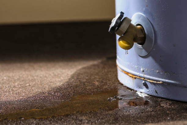 Best Water damage contractors near me  in Edgard, LA