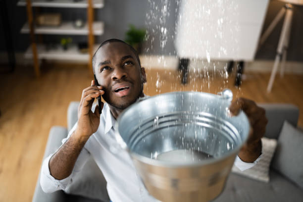 Best Sewage cleanup and water damage restoration  in Edgard, LA