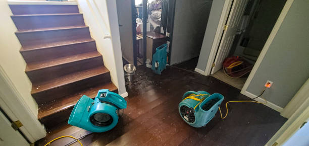 Best Flood damage cleanup  in Edgard, LA