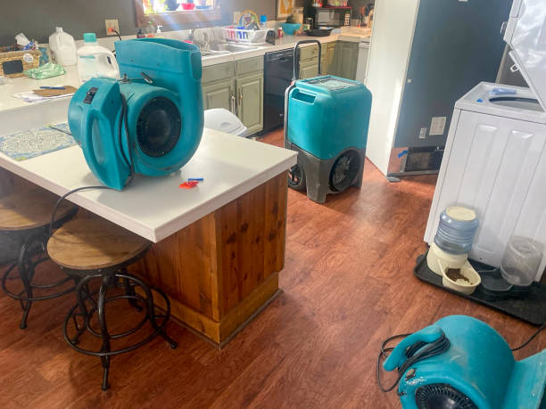 Best Water damage contractors near me  in Edgard, LA