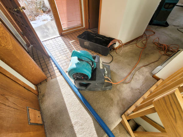 Best Emergency water damage restoration  in Edgard, LA