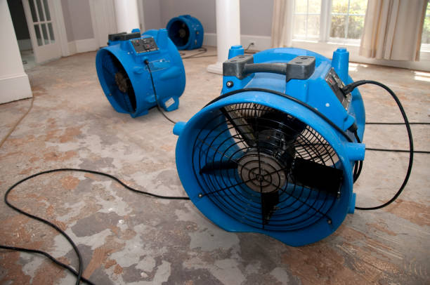 Best Water damage restoration process  in Edgard, LA