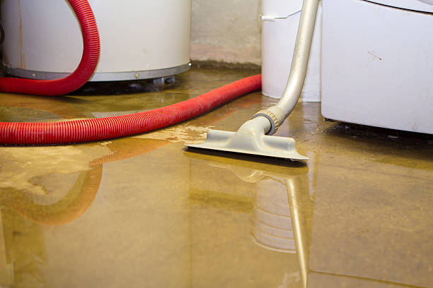 Best Mold removal after water damage  in Edgard, LA