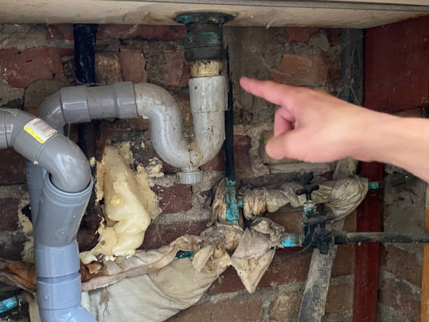 Best Water damage restoration near me  in Edgard, LA